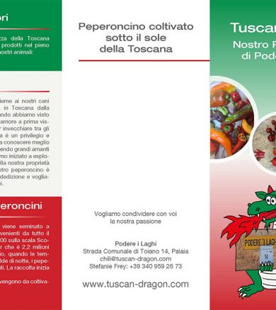 Tuscan Dragon Chili – Flyer 6-seitig Wickelfalz